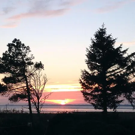 Haus Friesenresidenz/silbergras Whg 08